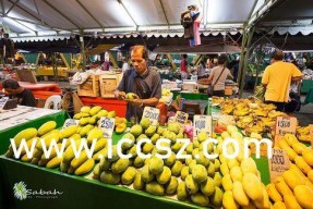 国产精品香蕉在线,甜蜜滋味，健康之选