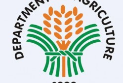 国产区资源,探索本土影视、音乐、游戏魅力之旅