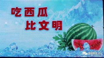 娱乐吃瓜配乐大全下载,娱乐吃瓜必备！盘点热门配乐大全下载攻略